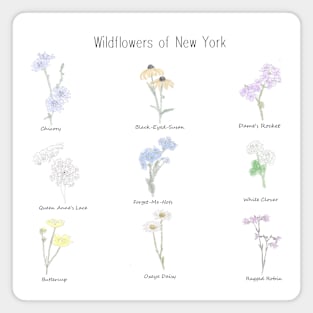 Wildflowers of New York Magnet